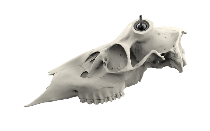 Muley Skull - Powered by Rack Hub® (Unpainted)