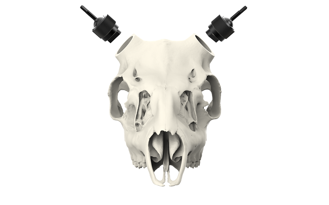 Muley Skull - Powered by Rack Hub® (Unpainted)