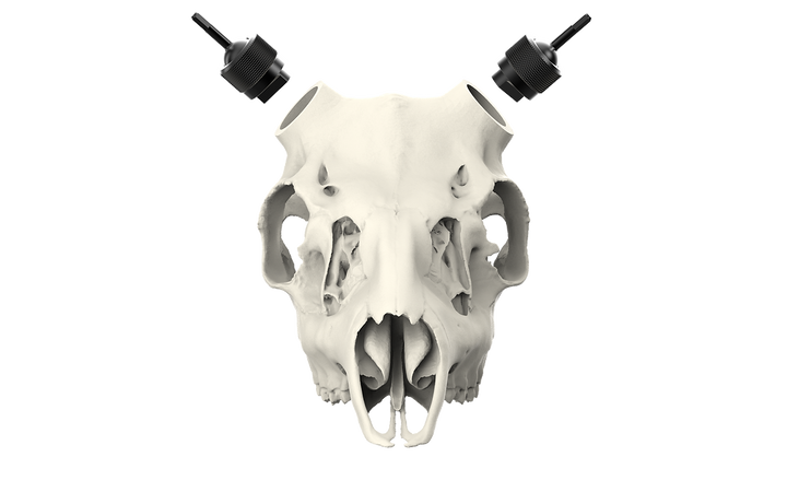 Muley Skull - Powered by Rack Hub® (Unpainted)