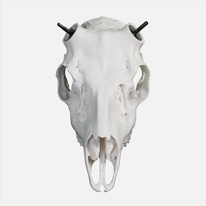 Muley Skull - Powered by Rack Hub® (Unpainted)