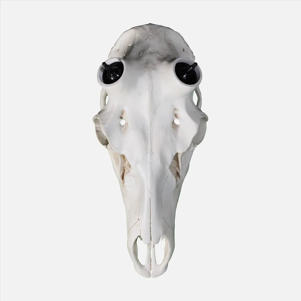 Elk Skull- Powered by Rack Hub® (Hand Painted, Hyper-realistic)