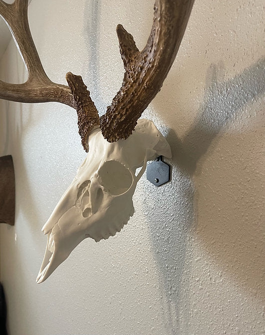 Skull Hanger