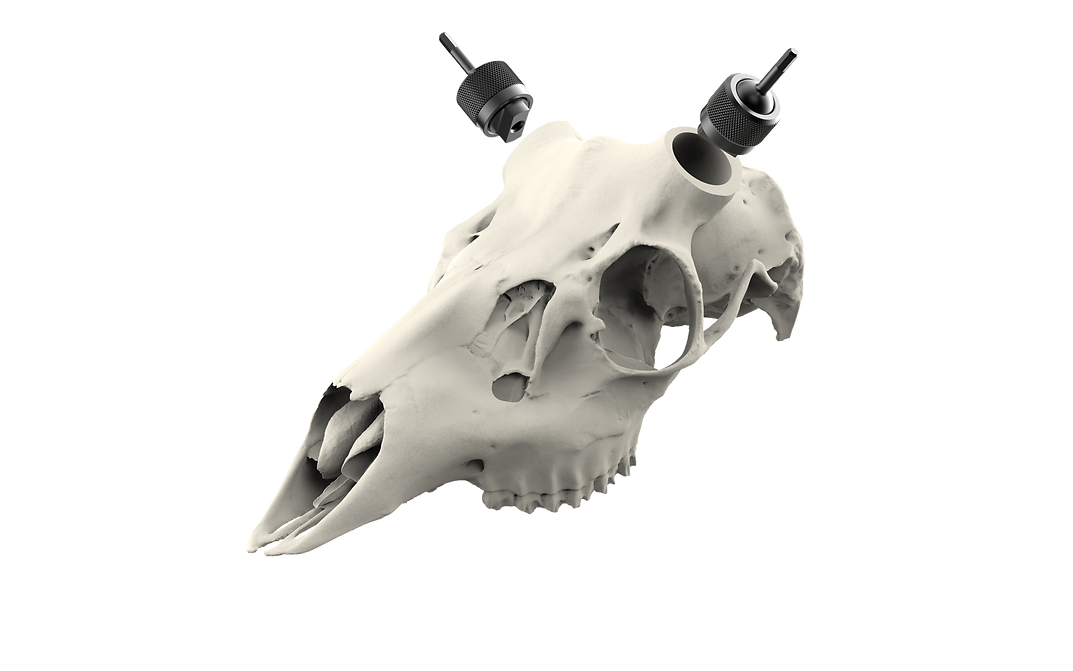 Muley Skull - Powered by Rack Hub® (Unpainted)