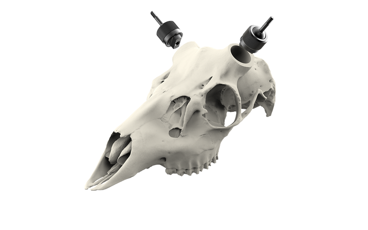 Muley Skull - Powered by Rack Hub® (Unpainted)